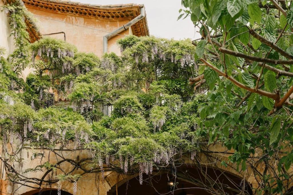 Villa Catalina Aka Villa Almanita 산트 페레 데 리베스 외부 사진