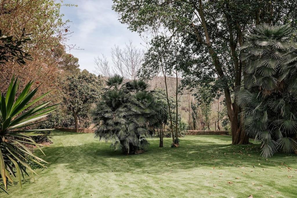 Villa Catalina Aka Villa Almanita 산트 페레 데 리베스 외부 사진