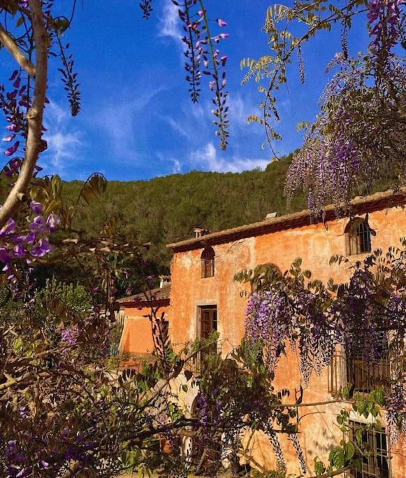 Villa Catalina Aka Villa Almanita 산트 페레 데 리베스 외부 사진